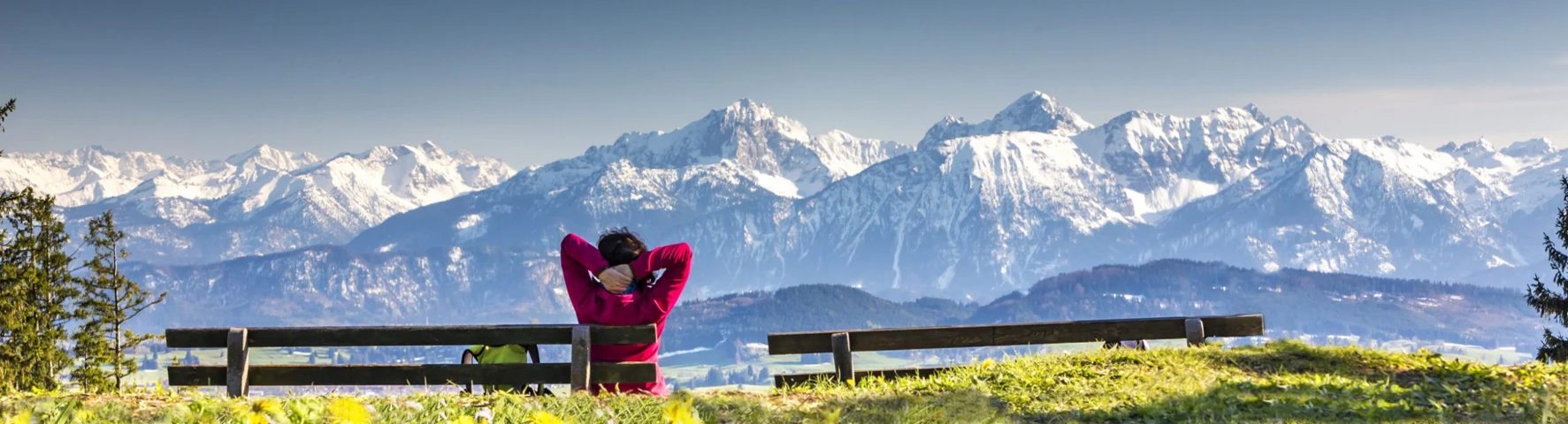 High Yield Corporate Bond Program