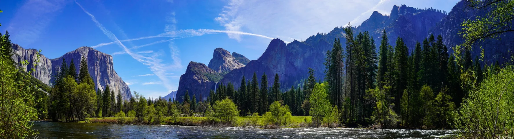 Tactical Bond Program